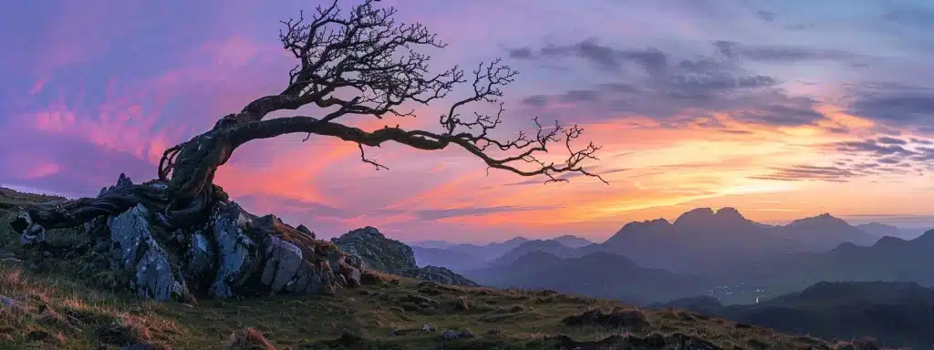 a lone, weathered tree stands majestically atop a windswept hill, its twisted branches silhouetted against a dramatic sunset, casting vibrant hues of orange and purple across the tranquil sky.