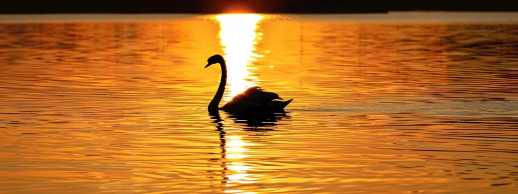 a vibrant sunset casts a warm golden glow over a tranquil lake, where the silhouette of a lone swan glides gracefully across the mirrored surface, creating a sense of serene beauty and peaceful solitude.
